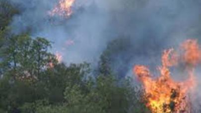 Şirvan Milli Parkında yanğın